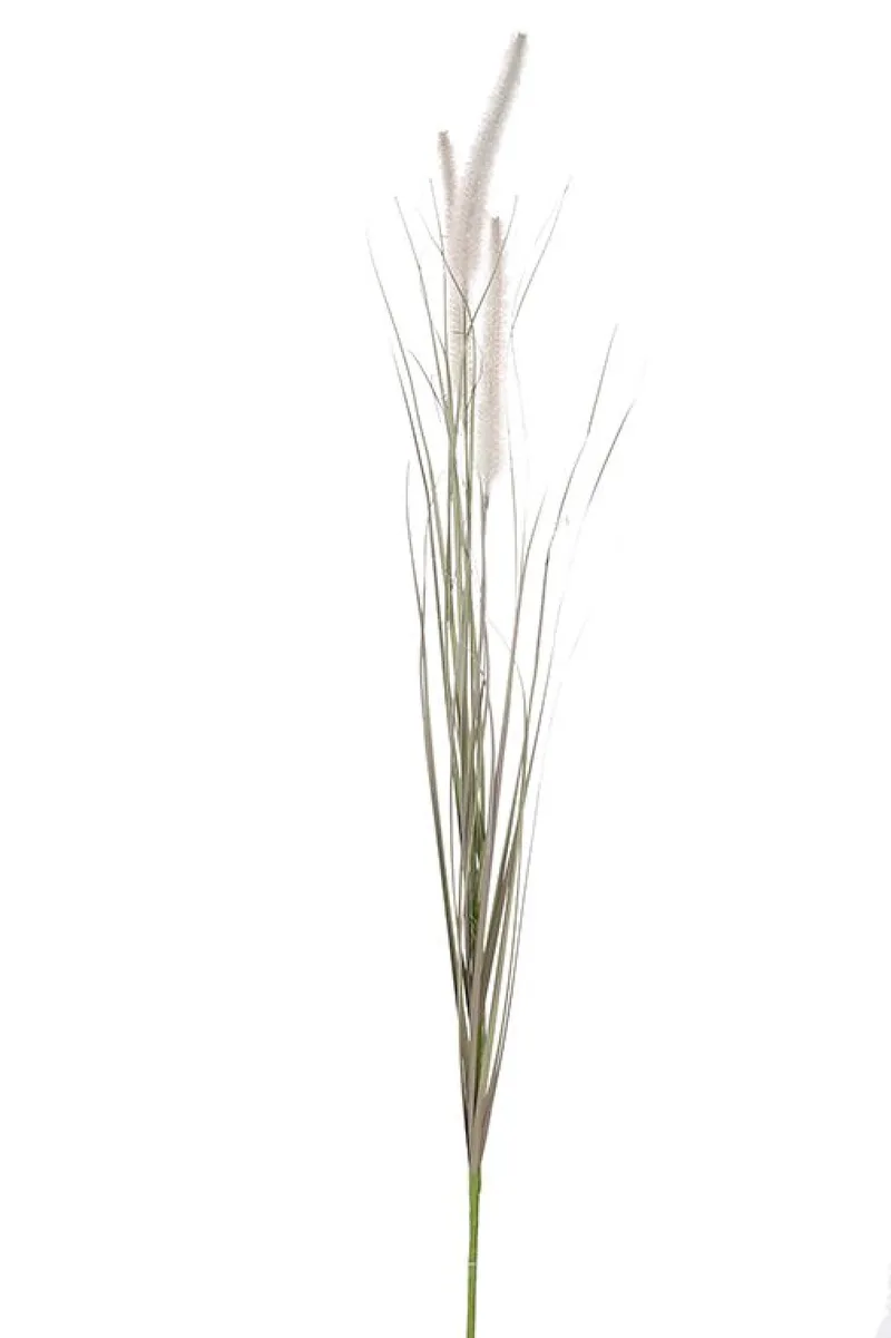 Φυτό Typha 13x13x100cm Μονόχρωμο Kaeming