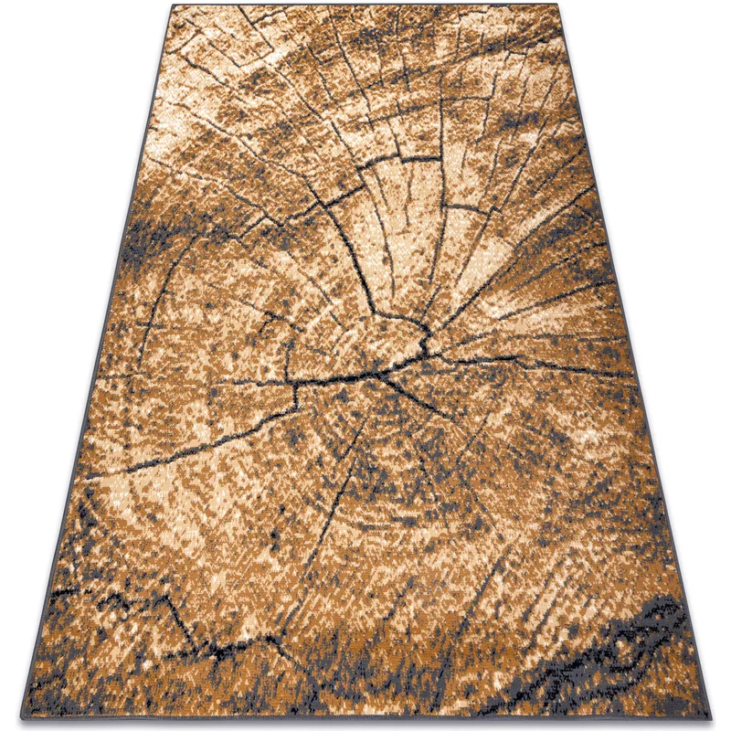 Χαλιά Rugsx Μοκέτα BCF Morad PIEŃ Ξύλο δέντρο 200x300 cm