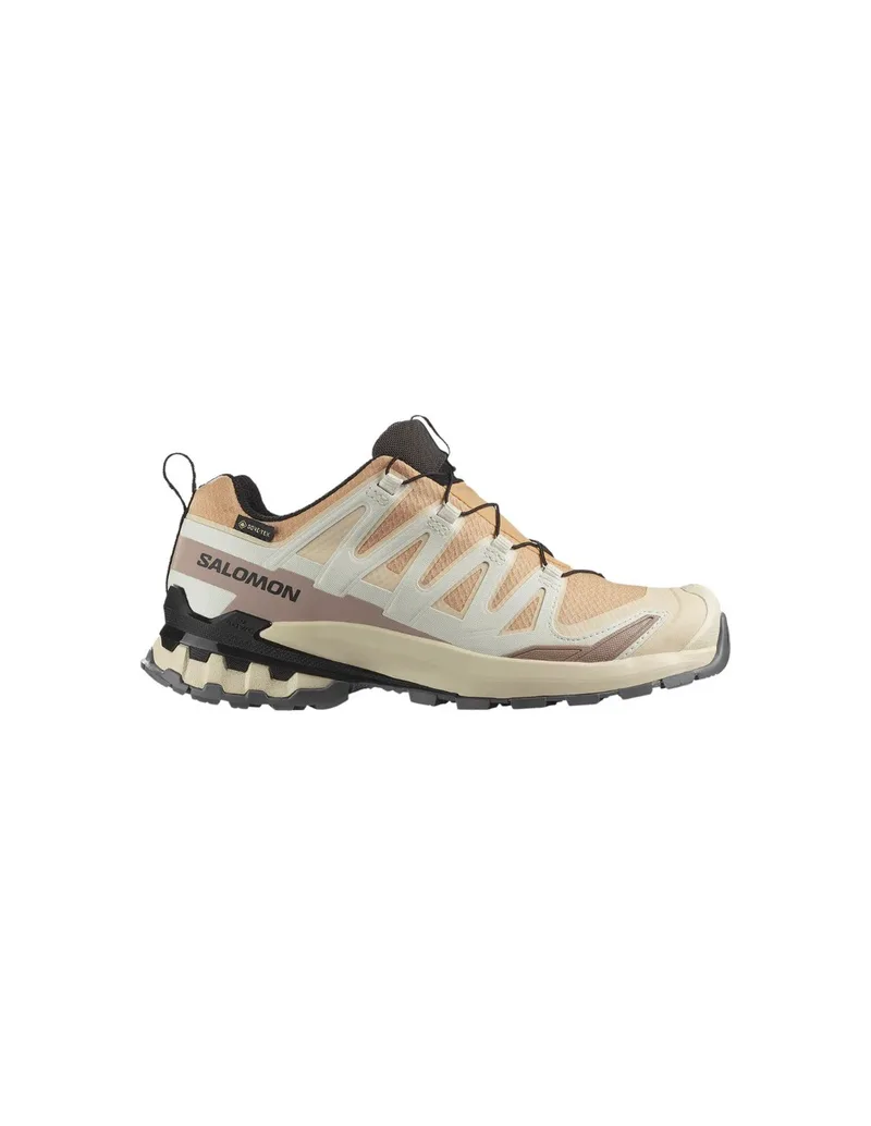 Salomon XA Pro 3D v9 GTX W L47817600