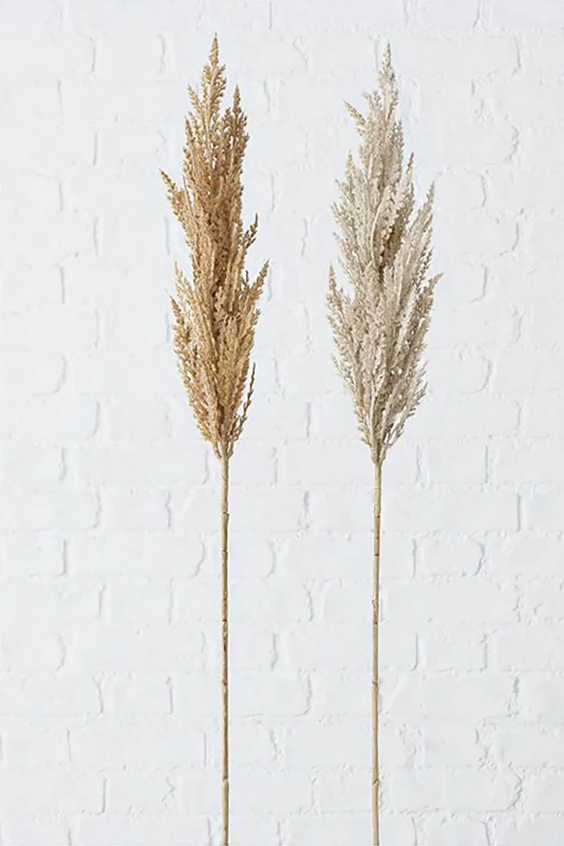 DOMUS HOMUS διακοσμητικό κλαδί πάμπας 95 cm (2 τεμάχια) - 20-99-728