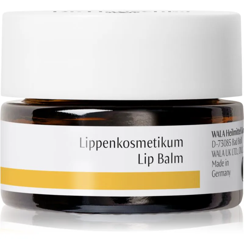 Dr. Hauschka Eye And Lip Care Βάλσαμο για χείλη με θρεπτικό αποτέλεσμα 4.5 ml