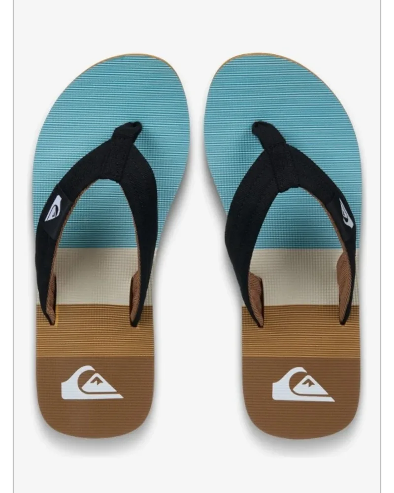 Quiksilver Ανδρικές Παντόφλες Molokai Layback EQYL100093-CMK6 Multi