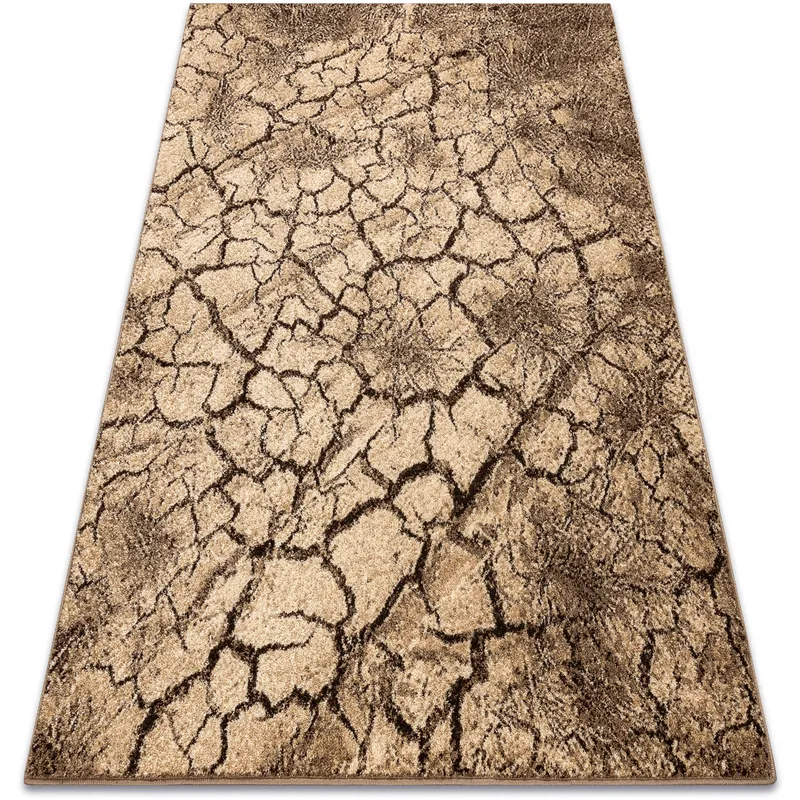 Χαλιά Rugsx Χαλί KARMEL Terra ραγισμένο έδαφΠ300x400 cm