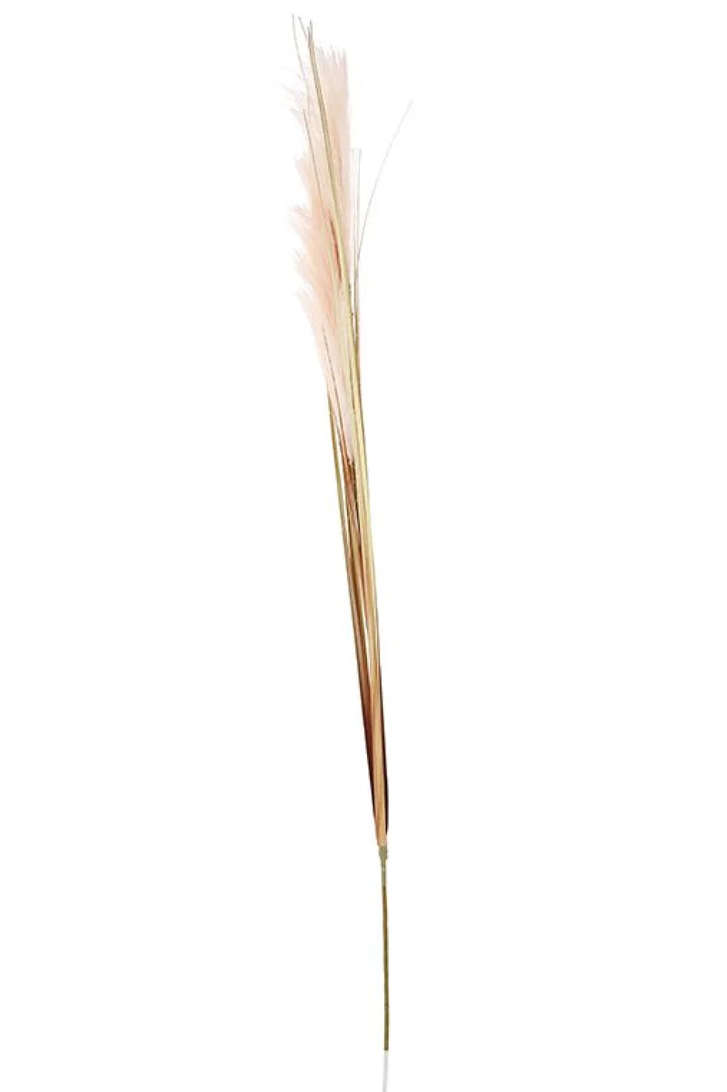 Φυτό Pampas 6x6x110cm Μονόχρωμο Kaeming