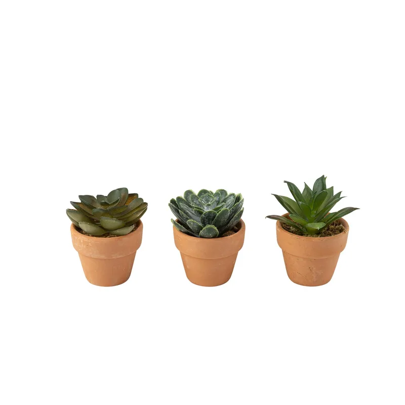 Beauty Home Πράσινο φυτό με γλάστρα τερακότα Ø5x6cm