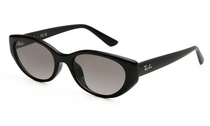 RAY BAN ΓΥΑΛΙΑ ΗΛΙΟΥ RAY BAN 4457D 667711 5519 4457D Μαύρο