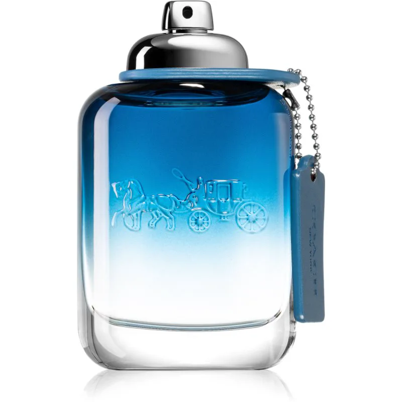 Coach Blue Eau de Toilette για άντρες 100 ml