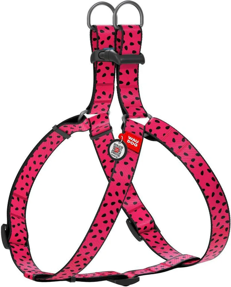 ΣΑΜΑΡΑΚΙ WAUDOG WATERMELON PLASTIC FASTEX (15MM / 40-55CM)