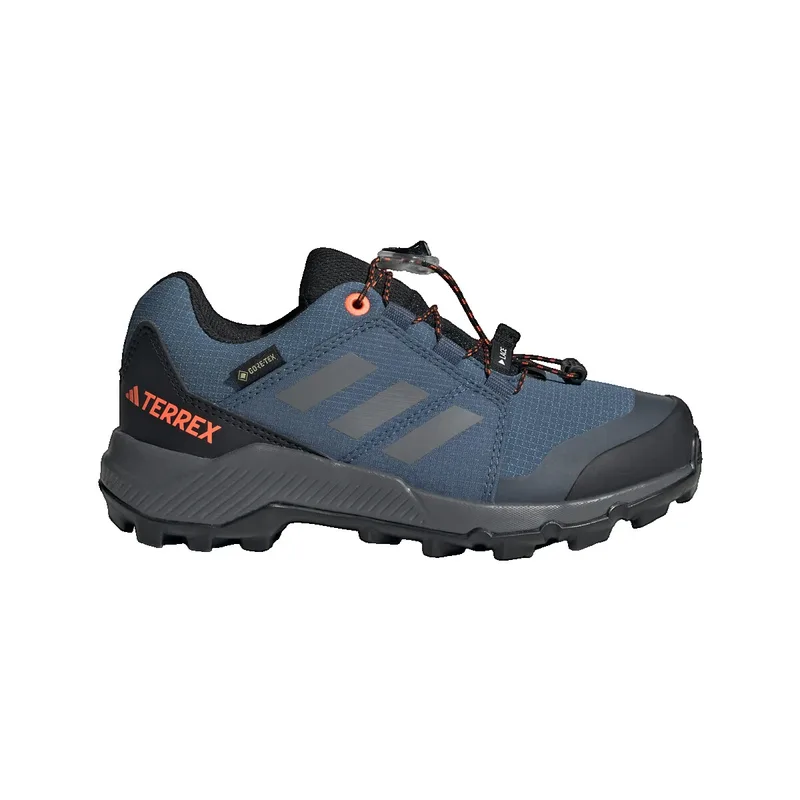 Πεζοπορίας adidas Terrex Goretex