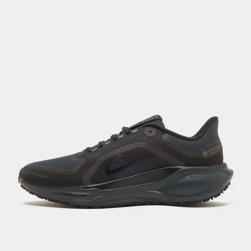 Nike Air Zm Pegasus 41 Gtx (9000234275_4359)