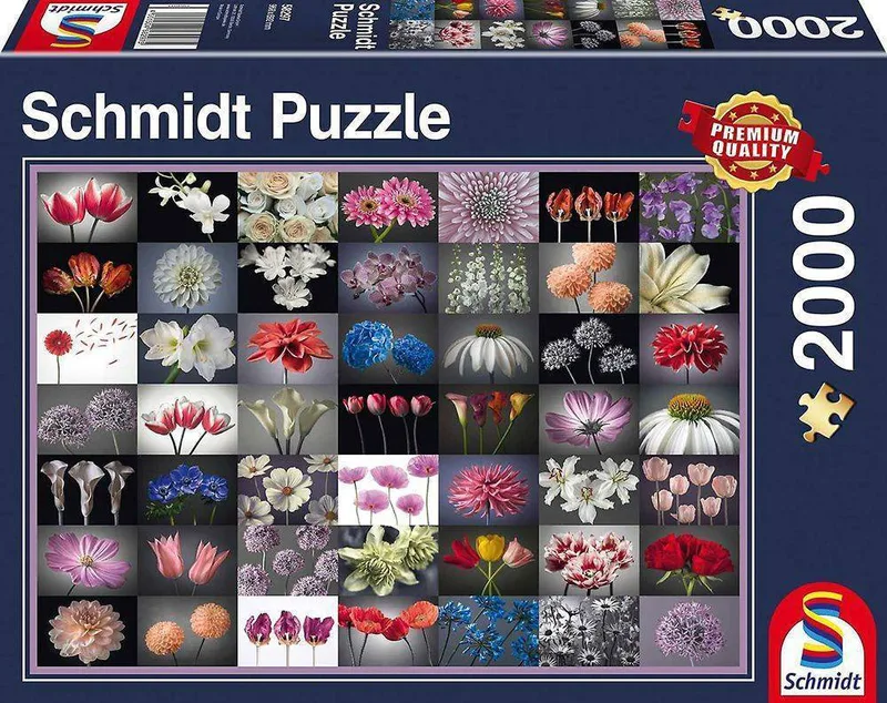 ΛΟΥΛΟΥΔΙΑ SCHMIDT 2000 ΚΟΜΜΑΤΙΑ (58297)