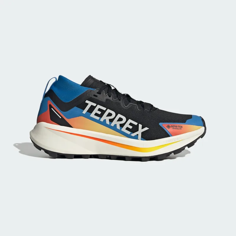 adidas Terrex M Agravic Gtx Trail Running Shoes (9000259886_91580)