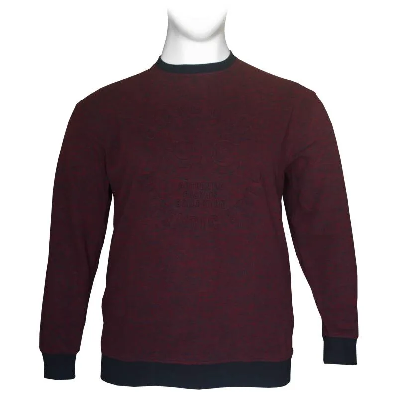 Μακρυμάνικη Μπλούζα Wool Feel με Flock 3D στάμπα της Leo Collection - Bordeaux