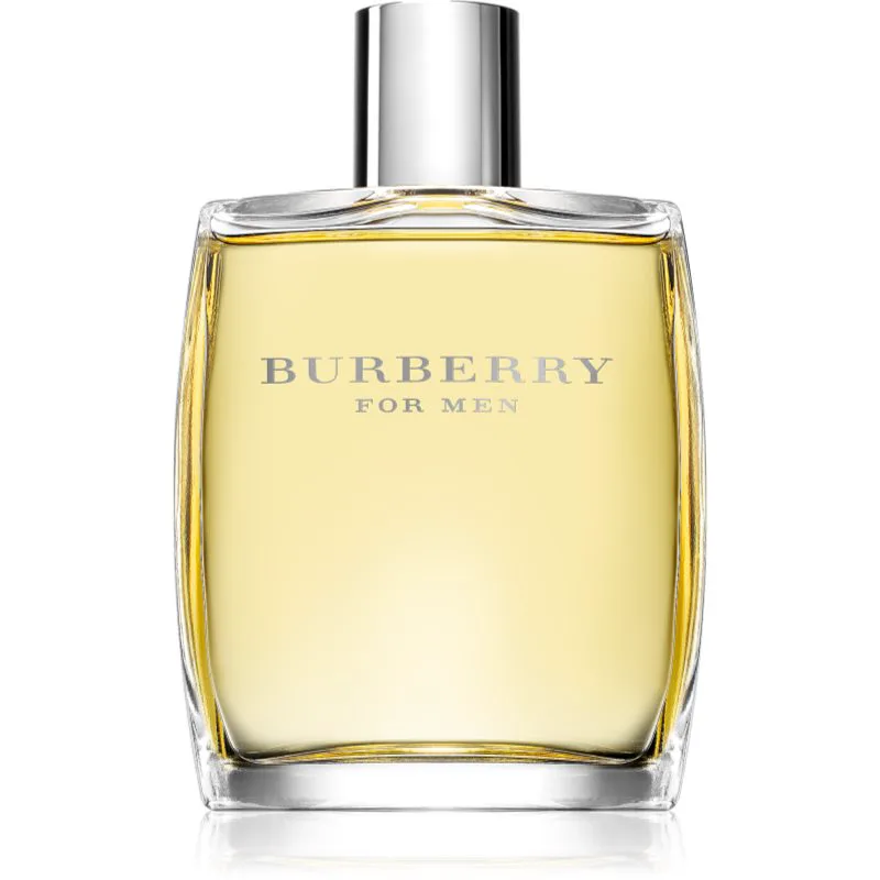 Burberry Burberry for Men Eau de Toilette για άντρες 100 ml