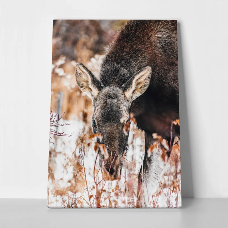 Πίνακας σε Καμβά RUSTIC FARMHOUSE DEER