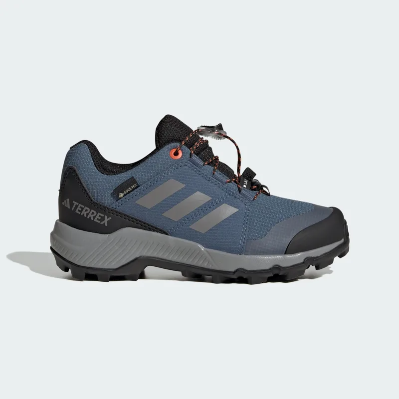 adidas Terrex Gore-Tex Hiking Παιδικά Παπούτσια (9000227105_76279)