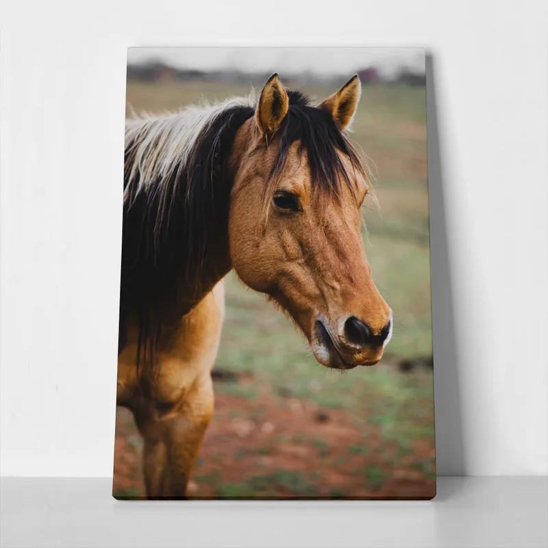 Πίνακας σε Καμβά RUSTIC FARMHOUSE HORSE 19