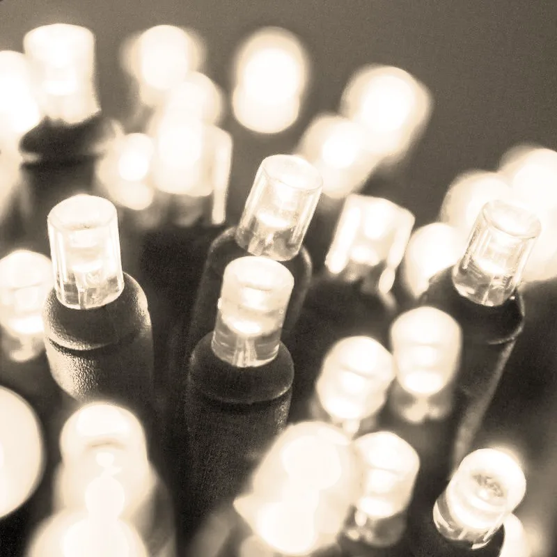 240 Λαμπάκια LED Λευκό Ψυχρό Χρώμα με Πράσινο Καλώδιο