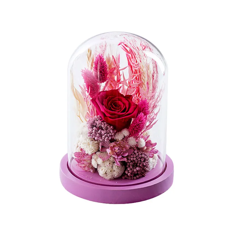 Dry Flowers Φουξ Premium 12x20cm