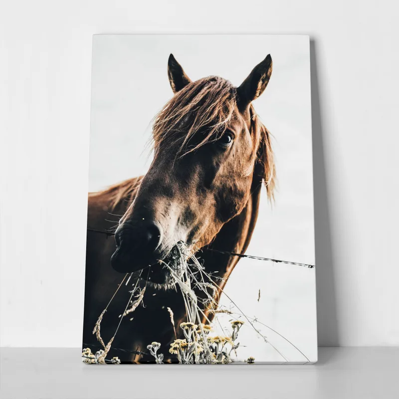 Πίνακας σε Καμβά RUSTIC FARMHOUSE HORSE EATING