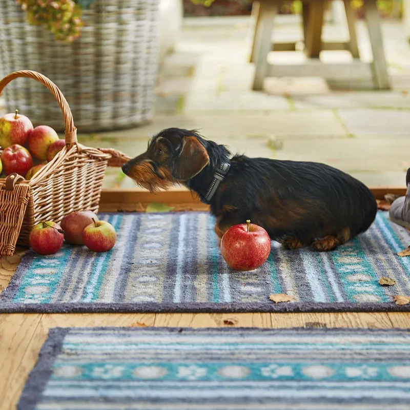 Pet 80 Paw Stripes Washable Doormat