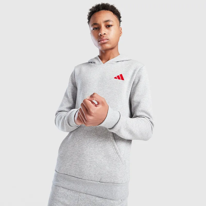 adidas Sportswear Fleece Παιδική Μπλούζα Με Κουκούλα (9000237203_7747)