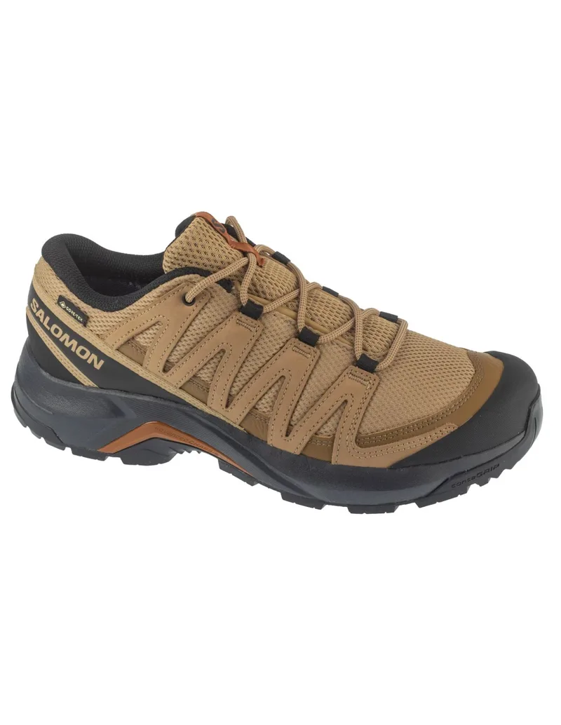 Salomon XAdventure Recon GTX L47813100