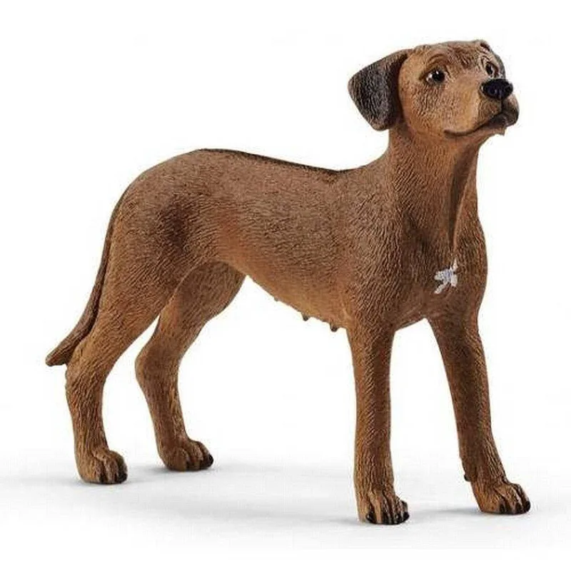 Μινιατούρα Schleich Σκύλος Rhodesian Ridgeback 13895