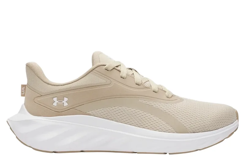 Παπούτσια Running Under Armour Ascend 6009827-289 Ανδρικό