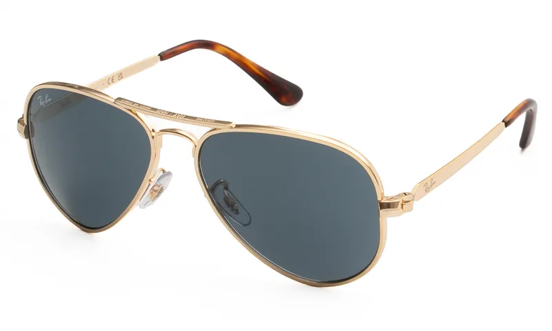 RAY BAN ΓΥΑΛΙΑ ΗΛΙΟΥ RAY BAN 3925 001/R5 5816 3925 Χρυσό
