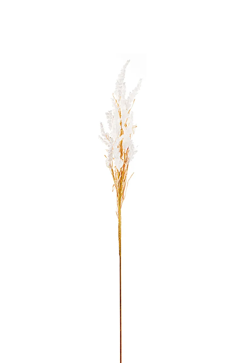 DOMUS HOMUS διακοσμητικό κλαδί καλαμαγκρόστις 125 cm - 20-99-589
