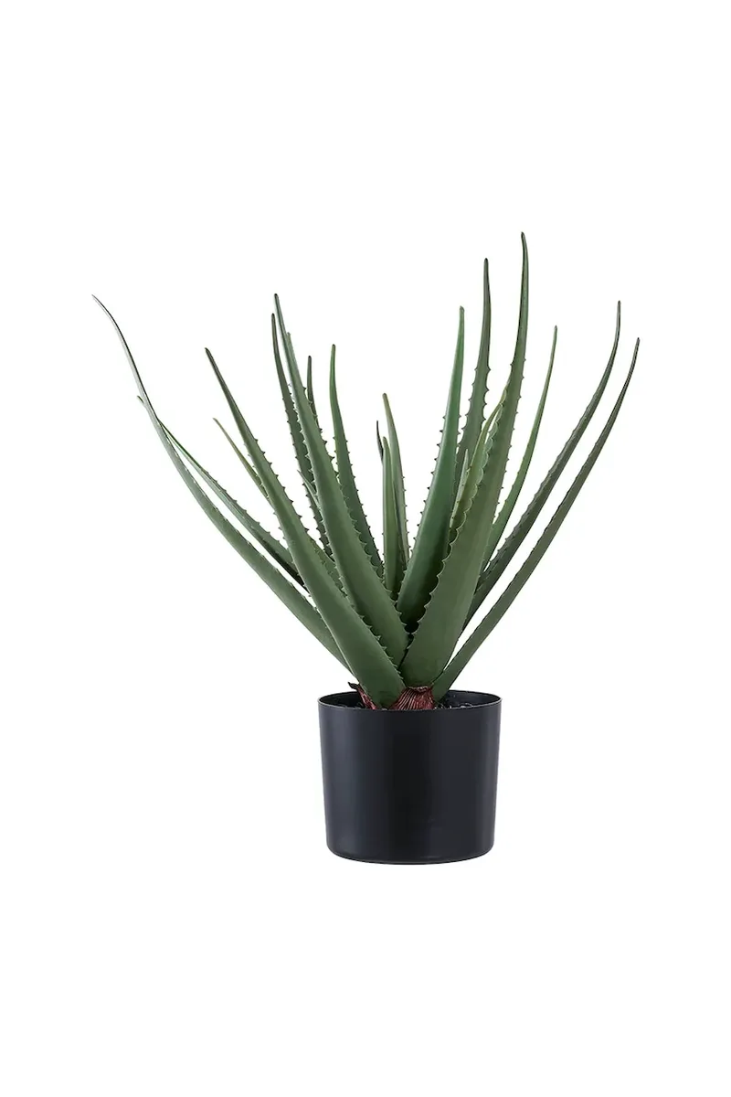Τεχνητό φυτό σε γλάστρα House Nordic Aloe Vera