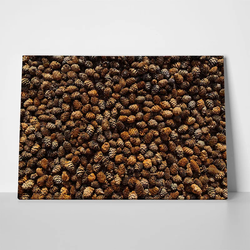 Πίνακας σε Καμβά RUSTIC FARMHOUSE PINE CONES