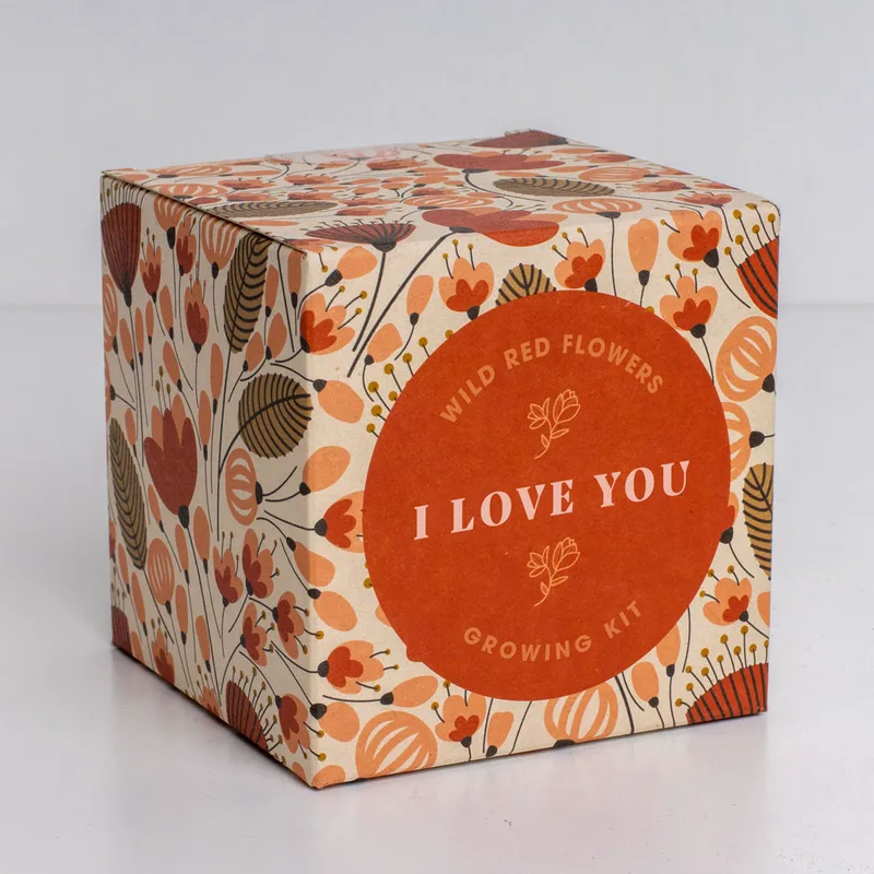 Say it with Flowers Growing Kit (I love you)