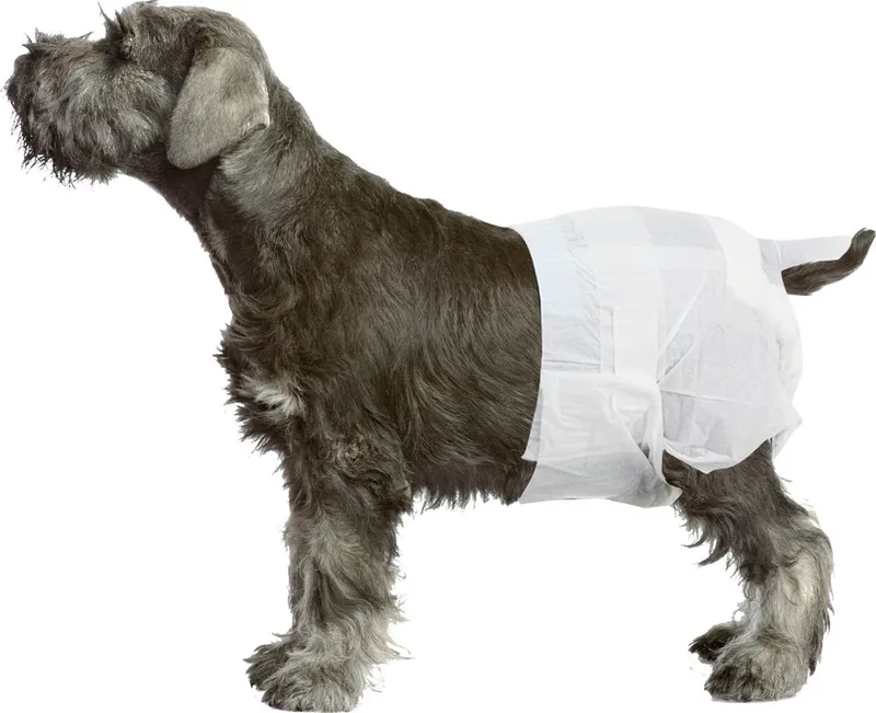 ΠΑΝΑ ΒΡΑΚΑΚΙ PAWISE FEMALE (L 6,4KG - 8,9KG/ 12ΤΜΧ)