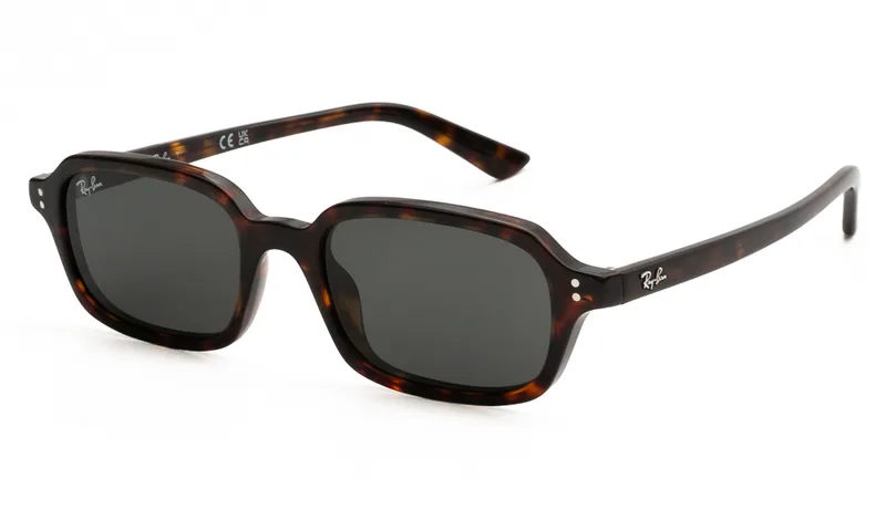 RAY BAN ΓΥΑΛΙΑ ΗΛΙΟΥ RAY BAN ZURI 4455 135987 5219 4455 Ταρταρούγα
