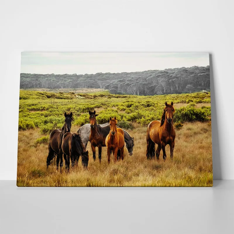 Πίνακας σε Καμβά RUSTIC FARMHOUSE HORSES 5