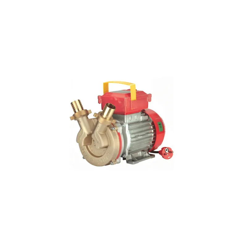 ηλεκτραντλια rover be-t 40 1,2hp 1450rpm