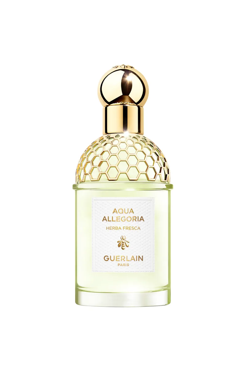 Guerlain Aqua Allegoria Herba Fresca - Eau De Toilette 75 ml - G014392