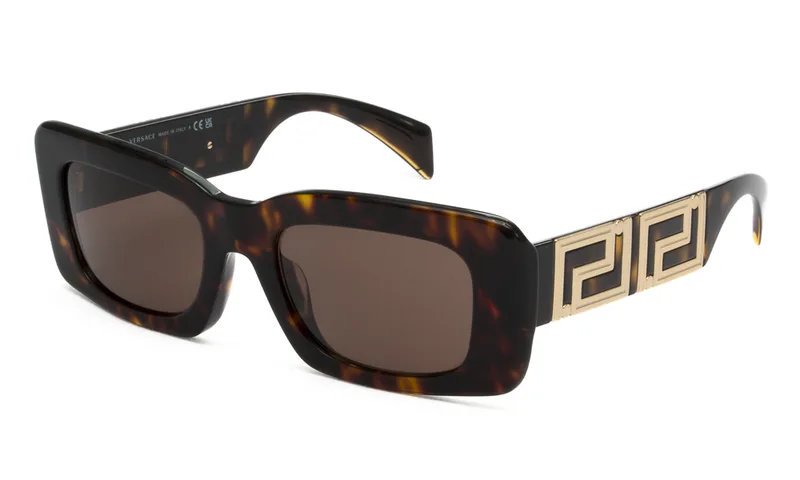 VERSACE ΓΥΑΛΙΑ ΗΛΙΟΥ VERSACE 4444U 108/73 5421 4444U Ταρταρούγα