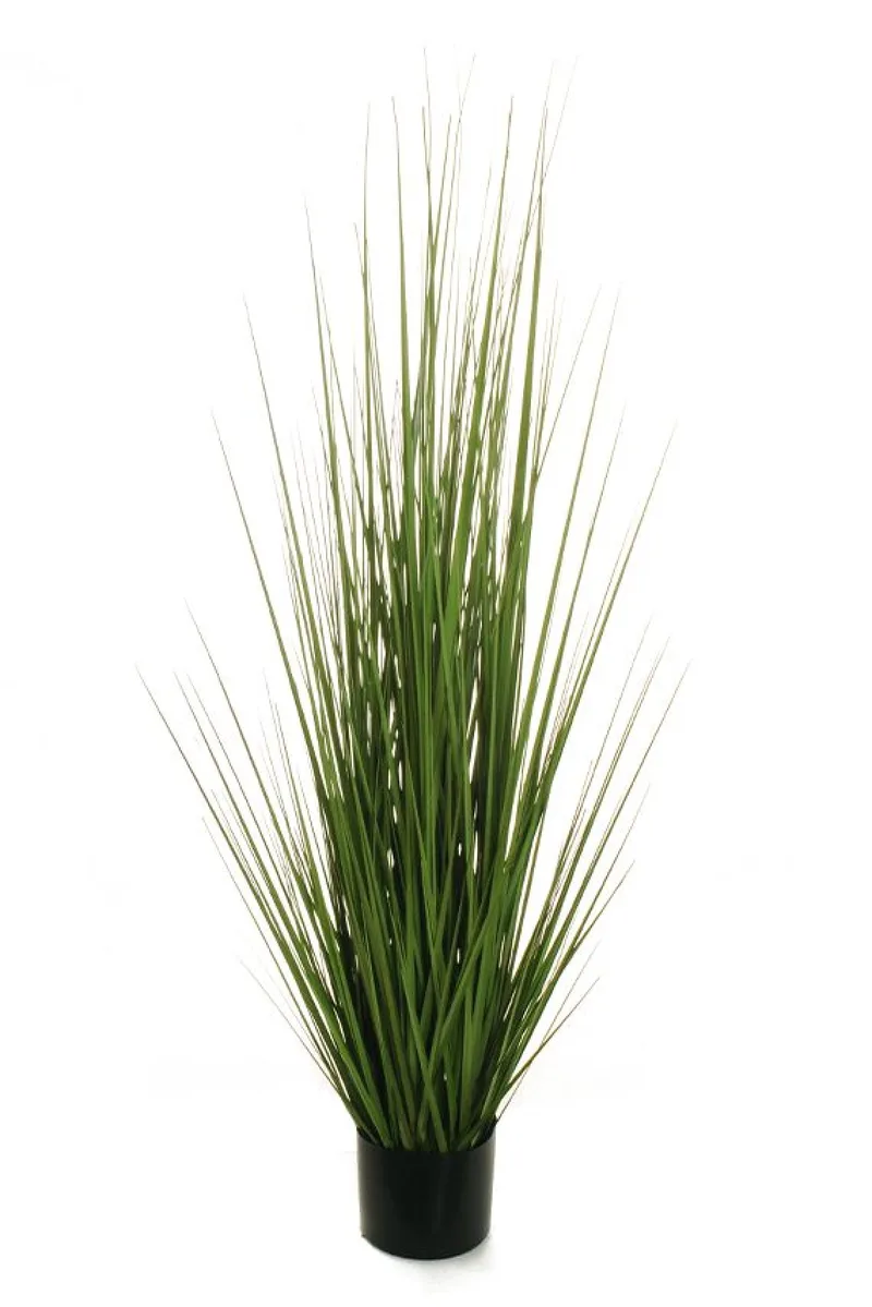 Γρασιδι Σε Γλαστρα 120Cm 0x0x120cm Μονόχρωμο Evergreens