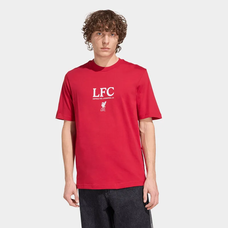 adidas M Liverpool Fc Seasonal Graphic Tee (9000264850_90206)