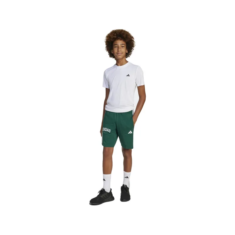 Shorts & Βερμούδες adidas Shorts jm2440 vert