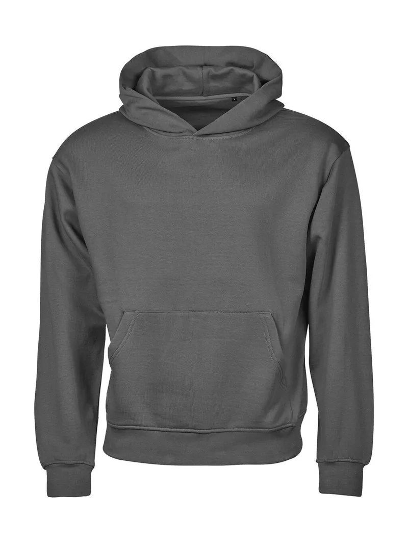 Φούτερ με Κουκούλα Heavy Loose Fit 5162 Tee Jays Powder Grey