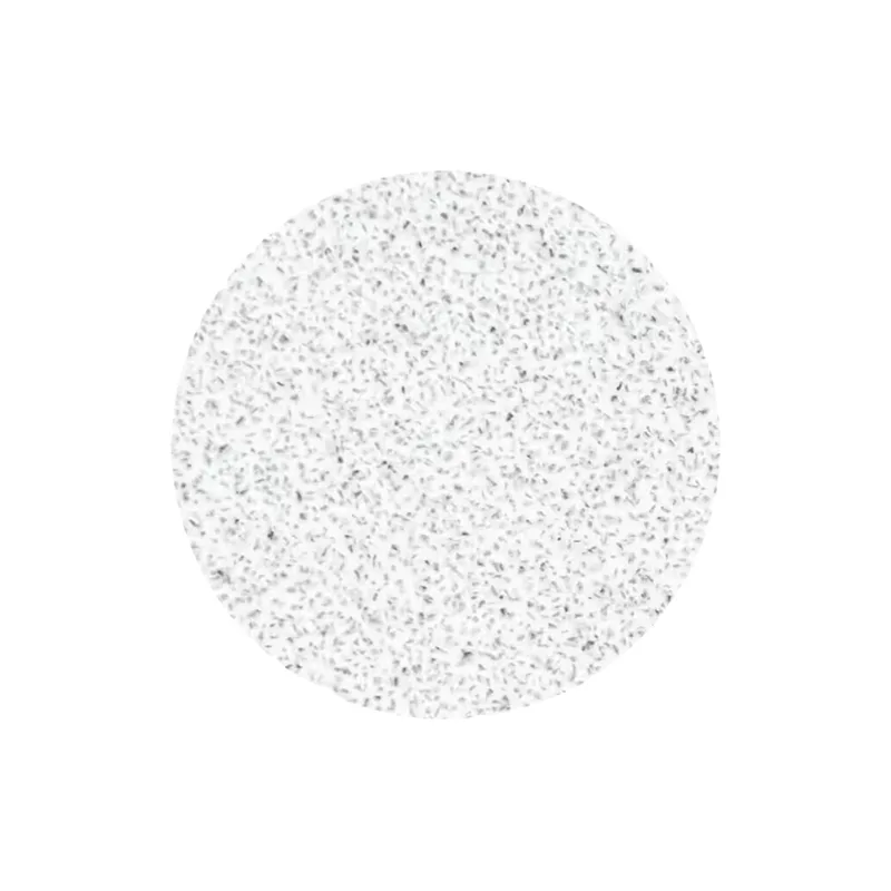Staleks Pro L 80 Grit White Replacement Sandpaper for Pedicure Disc 50 Pieces