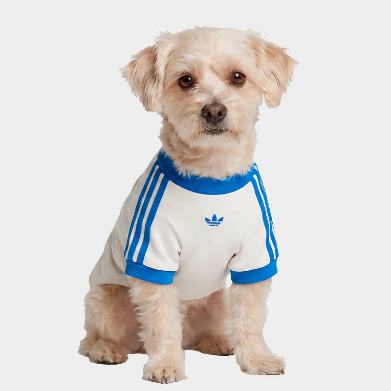 adidas Originals Pet Cali Tee (9000294591_97934)