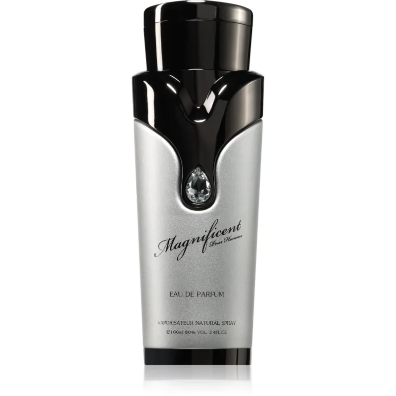 Armaf Magnificent Pour Homme Eau de Parfum για άντρες 100 ml