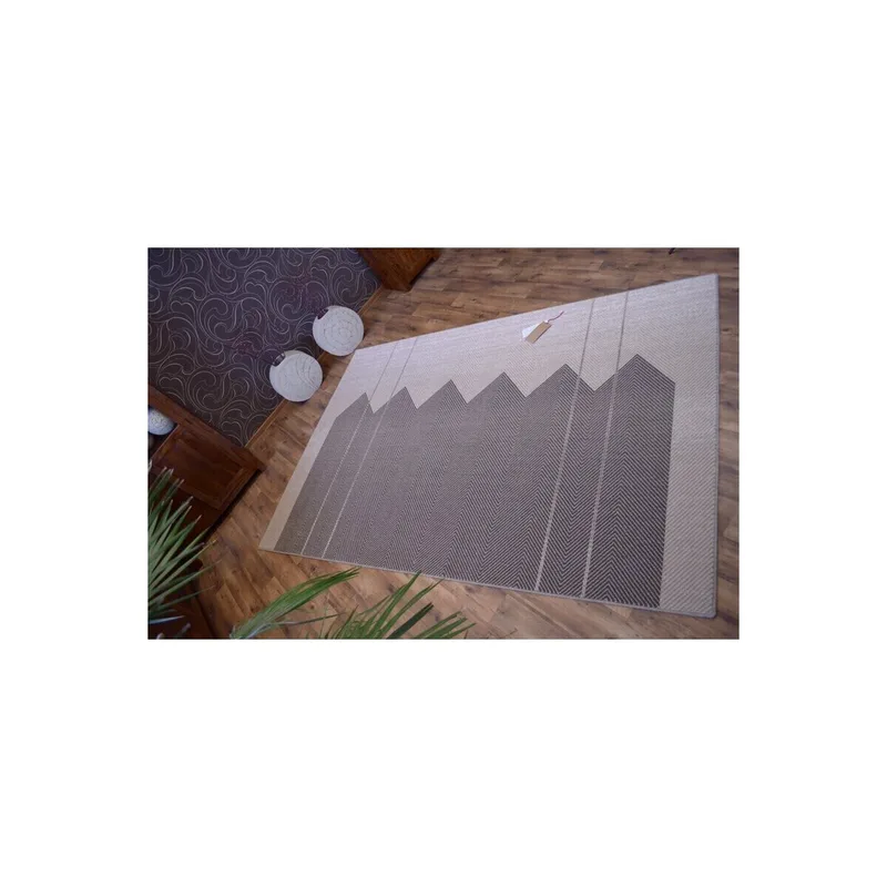 Χαλιά Rugsx Χαλί NATURAL SOLE καφέ 200x300 cm