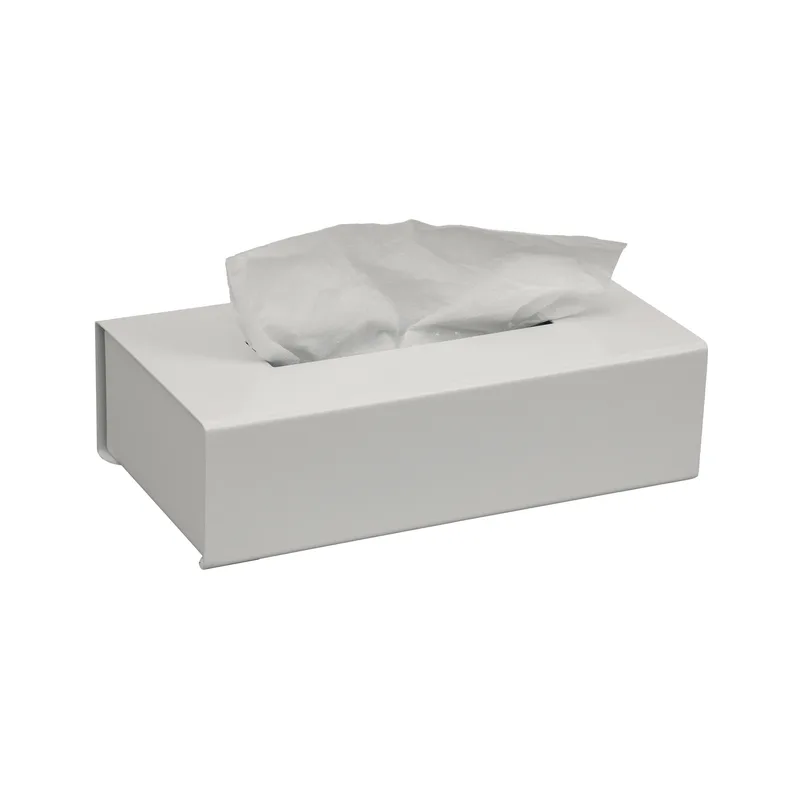 Θήκη Για Χαρτομάντηλα Inox White Matte 25x13x7,5εκ. Pam & Co 120-033 (Χρώμα: Λευκό, Υλικό: Inox) - Pam & Co - 120-033
