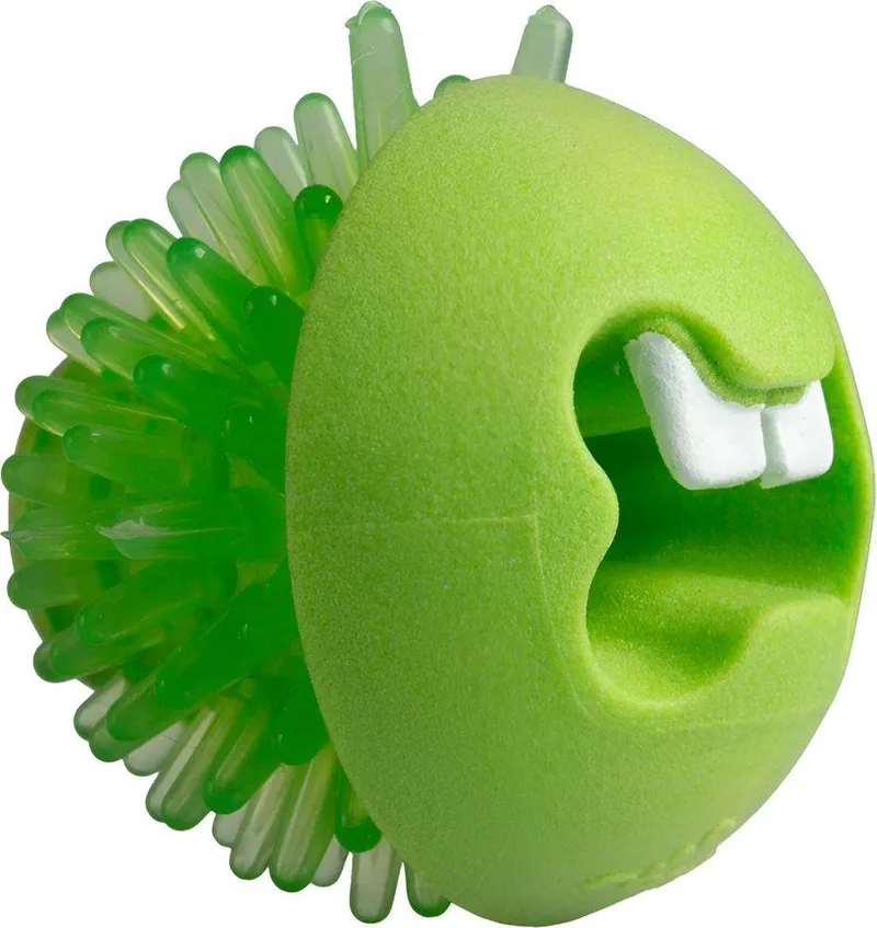 ΠΑΙΧΝΙΔΙ ΣΚΥΛΟΥ ROGZ FRED LIME (24CM)